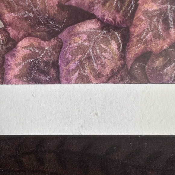 Amy Brown Dark Faery Fairy print original packaging - Picture 3 of 7